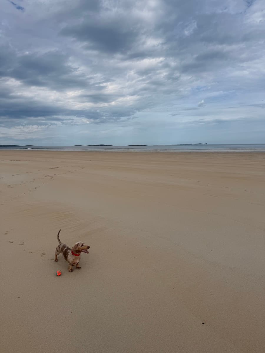 Donegal