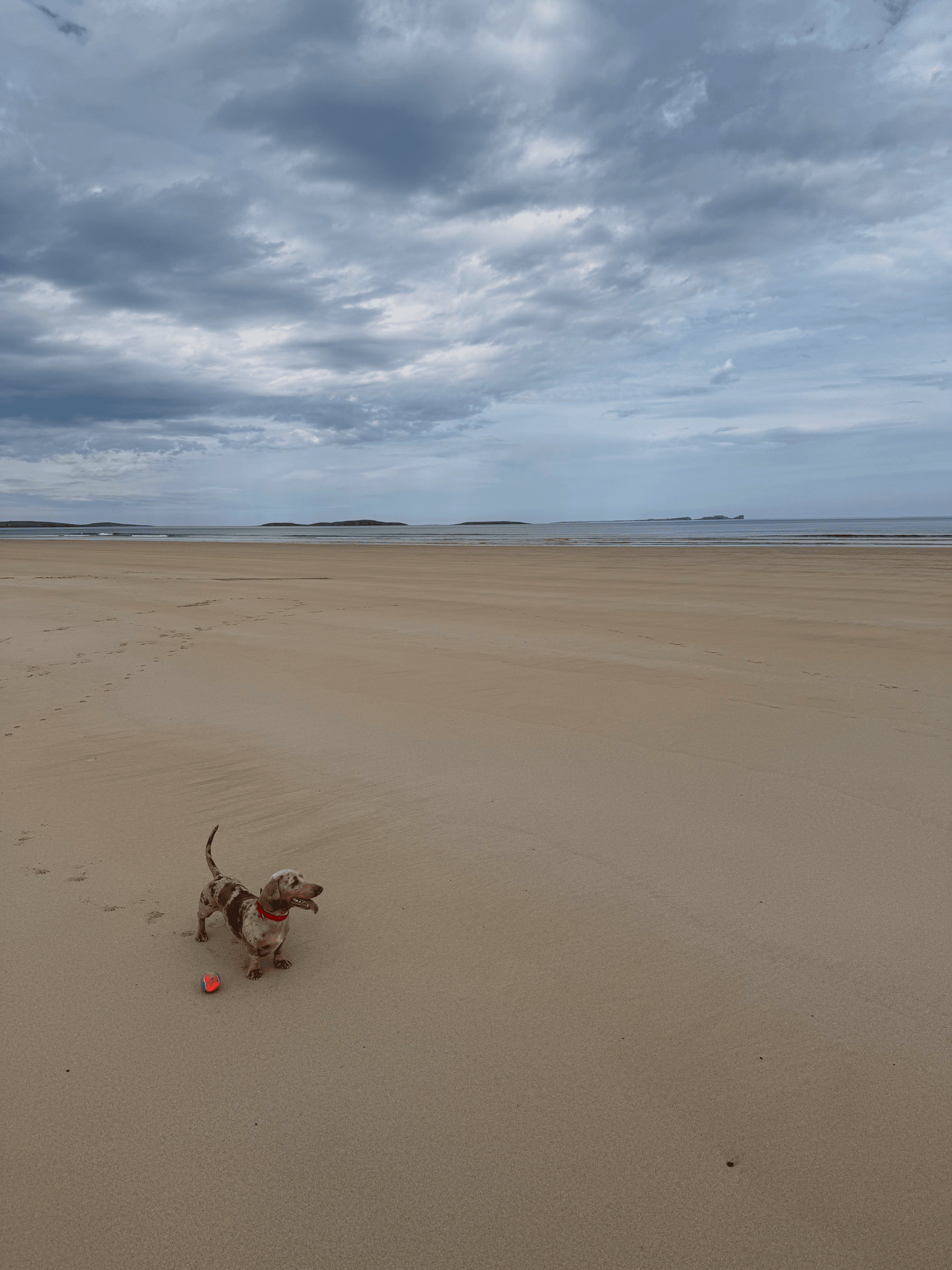 Donegal